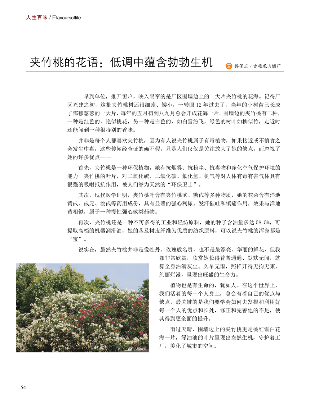 JDB电子·(中国)游戏官网_JDB